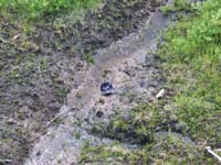 Some dude had dropped their hat from the gondola - ha ha