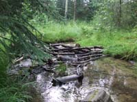 The stream/fridge used to keep the beer cold