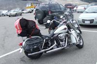 Goldwing