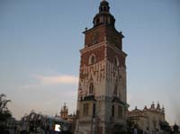 Swallows screaming in the old market square