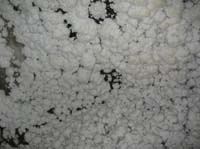 Cauliflower salt crystals
