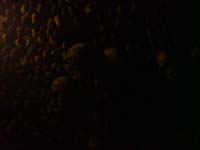 The Catacombs